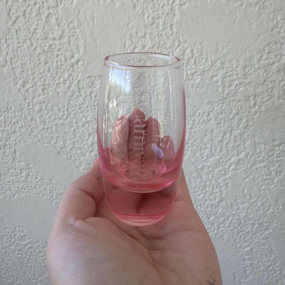 Carnival Cruise Pink Ombre 5oz Shot Glass Souvenir Barware OS